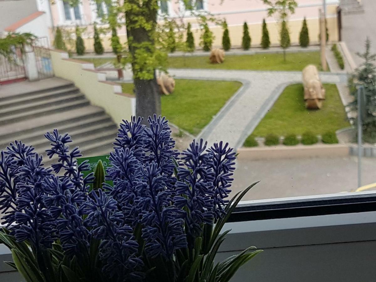 Apartament Pokoje nad Welem Lidzbark Lidzbark Welski Zewnętrze zdjęcie