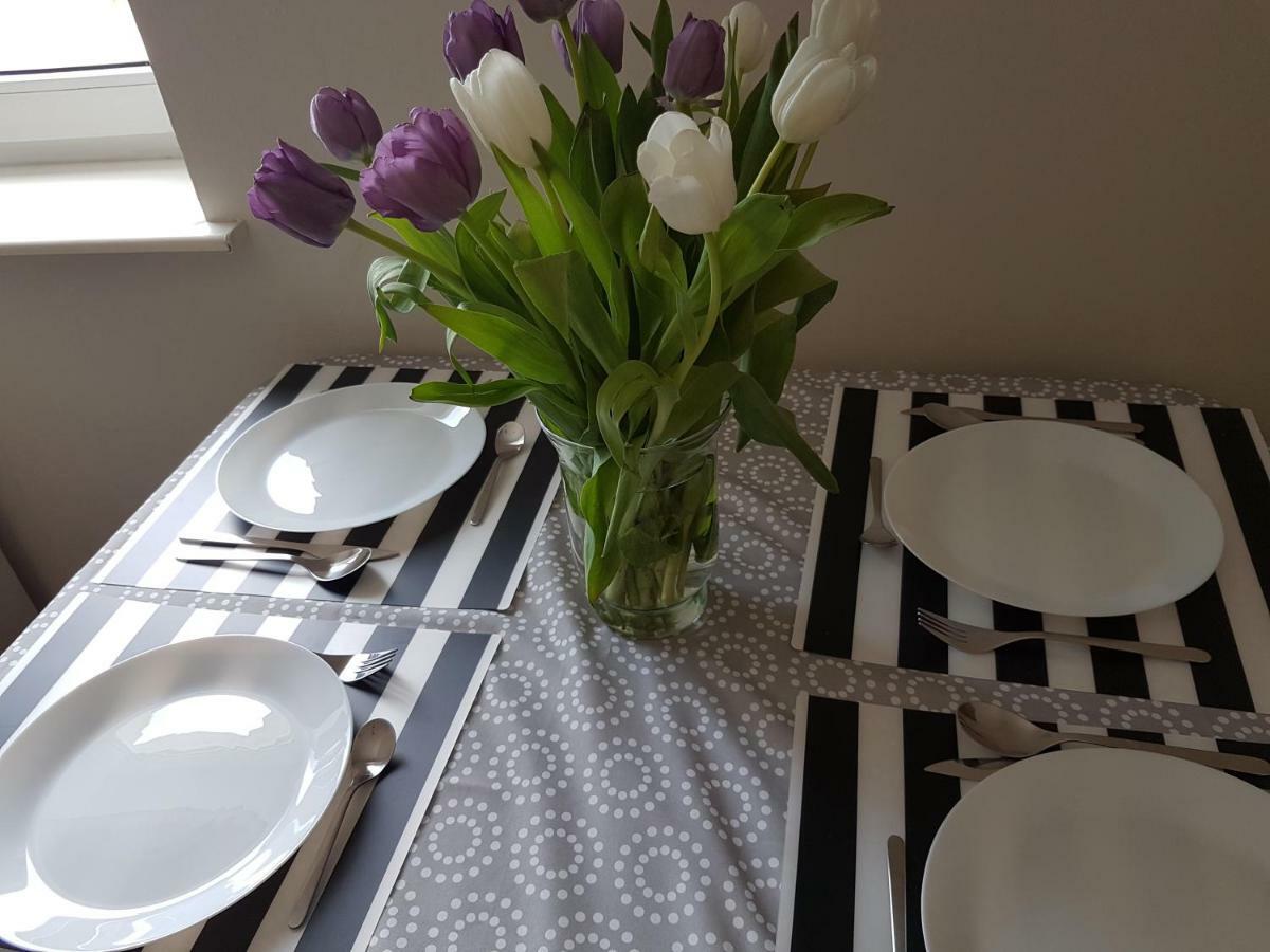 Apartament Pokoje nad Welem Lidzbark Lidzbark Welski Zewnętrze zdjęcie
